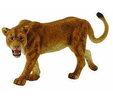 Collecta Levice / od 3 rokov