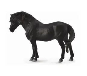 Collecta Dartmoorský pony čierny / od 3 rokov