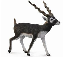 Collecta Antilopa jelenie / od 3 rokov