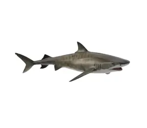 Collecta Žralok tigrie / od 3 rokov