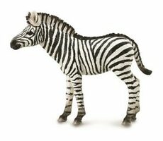 Collecta ZEBRA / od 3 rokov