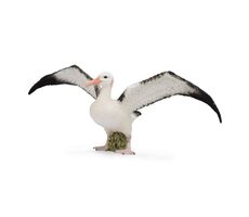 Collecta Albatros sťahovavý / od 3 rokov