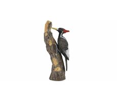 Collecta Ďateľ kniežací / od 3 rokov