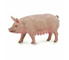 Collecta Prasnice / od 3 rokov