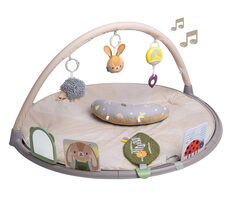 Taf Toys Hracia deka s hrazdou pre hru na brušku / od 0 mesiacov