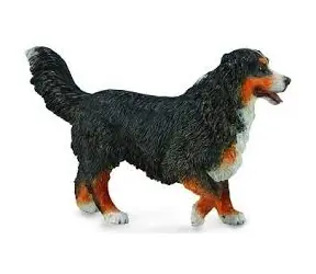 Collecta Bernský salašnícky pes / od 3 rokov