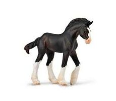 Collecta Žriebä Clydesdale - Black / od 3 rokov