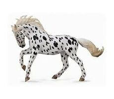 Collecta Kôň Knabstrupper Mare - Čierny leopard / od 3 rokov