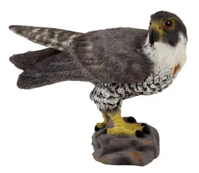 Collecta Sokol sťahovavý / od 3 rokov
