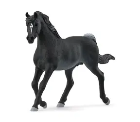 Schleich Horse Club 13981 Arabský žrebec / od 3 rokov 