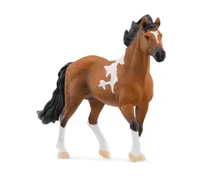 Schleich Horce Club 13978 Žrebec Mangalarga Marchador / od 3 rokov 