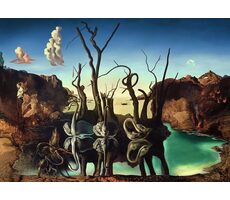 Ravensburger Salvador Dalí: Labute odrážajúce sa vo vode ako slony / 1000 dielikov / od 14 rokov