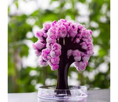 Mad Monkey Magic Sakura - Čerešňový kvet 