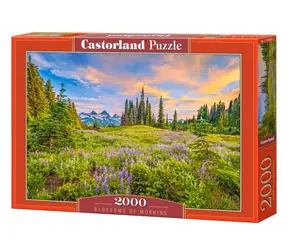 Castorland 200863 Ranné kvety