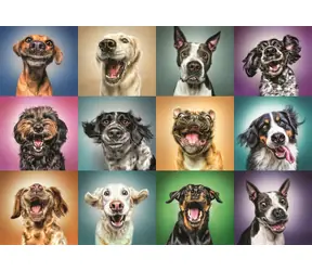 Trefl - Puzzle - Veselé psie portréty / 1000 dielikov / 68.3 x 48 cm / vek 12+