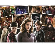 Trefl - Puzzle - Harry potter s priateľmi / 160 dielikov / 41 x 27.5 cm / vek 6+