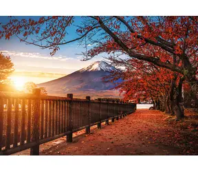 Trefl - Puzzle - Premium PLUS Photo Odyssey: Hora Fuji. Japonsko / 1000 dielikov / 68.3 x 48 cm / vek 12+