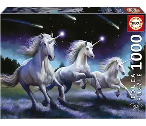 Educa Puzzle Padajúce hviezdy / 1000 dielikov / od 14 rokov