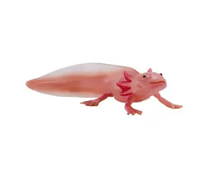 Mojo Axolotl / od 3 rokov