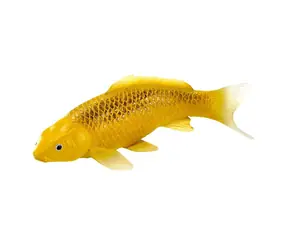 Mojo Kapor koi kín matsuba ú od 3 rokov