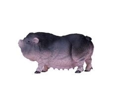 Mojo Vietnamské zvislobruché prasa / od 3 rokov