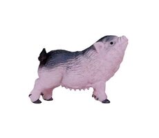 Mojo Vietnamské zvislobruché prasa prasiatko / od 3 rokov