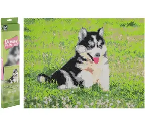 GRAFIX Diamantové maľovanie Husky / 40x50 cm