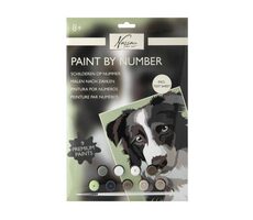 GRAFIX Maľovanie podľa čísel: Pes / od 6 rokov