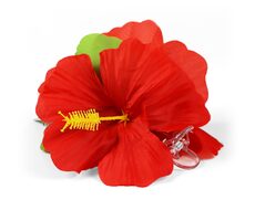 Rappa Klip do vlasov Havaj