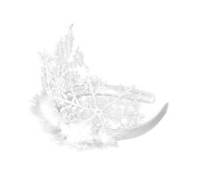 Rappa Korunka vločka s perím