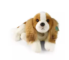 Rappa Plyšový pes gavalier king Charles španiel 40 cm / ECO-FRIENDLY / od 0 rokov
