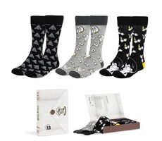 Cerdá Harry Potter 3páry / veľkosť 36-43