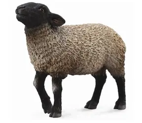 Collecta Ovce Suffolk / od 3 rokov