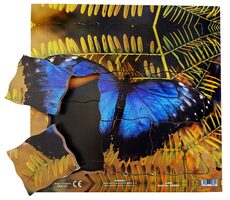 Just Jigsaws 601 Motýľ a jeho životný cyklus - drevené vrstvené puzzle / 19 dielov / od 3 rokov