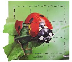 Just Jigsaws 602 Lienka a jej životný cyklus - drevené vrstvené puzzle / 19 dielov / od 3 rokov