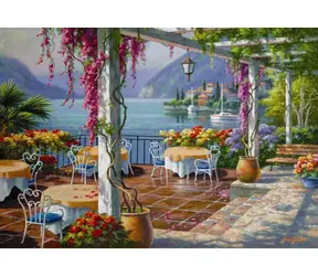 ANATOLIAN Puzzle Terasa s vistériami