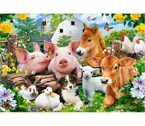 Castorland 040339 Puzzle Priatelia zo statku MAXI