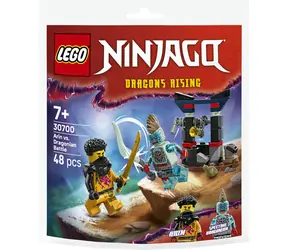 LEGO® NINJAGO® 30700 Súboj: Arin vs. dračie stvorenie / Počet dielikov: 48 / od 7 rokov