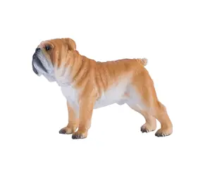 Mojo Anglický buldog / od 3 rokov