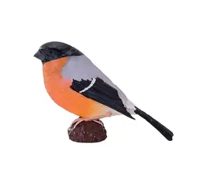 Mojo Hýľ obyčajný / od 3 rokov