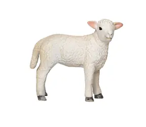 Mojo Jahniatko romney marsh stojace