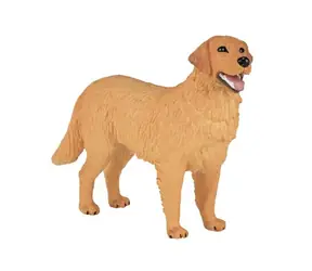 Mojo Zlatý retriever / od 3 rokov