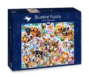BlueBird Puzzle Koláž zvieracích selfie / 1000 dielikov / od 14 rokov