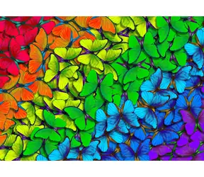 ENJOY Puzzle Dúhoví motýliky / 1000 dielikov / od 14 rokov