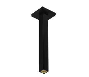 Hansgrohe Príslušenstvo - Sprchové rameno stropné | 31 cm | matná čierna 