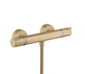 Hansgrohe Ecostat Comfort - Termostatická sprchová batéria kartáčovaný bronz 