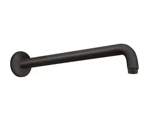 Hansgrohe Aktiva - Sprchové rameno 39 cm | matná čierna