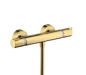 Hansgrohe Ecostat Comfort - Termostatická sprchová batéria | zlatá