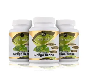 Golden Nature Ginkgo Biloba extrakt 50:1 60mg 300 cps. (3x100 cps)