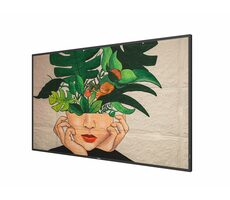 55" PHILIPS 55BDL4511D/00 čierna / IPS / 3840 x 2160 / 60Hz / 8ms / 500cd / HDMI / DP / DVI / REPRO / VESA